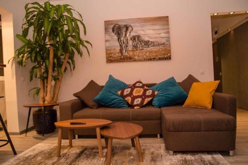 Colonial Touch Apartament ブラショフ エクステリア 写真